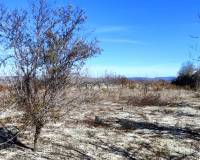 Resale - Plots and Land - Bufali