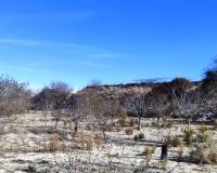 Resale - Plots and Land - Bufali