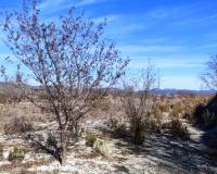 Resale - Plots and Land - Bufali