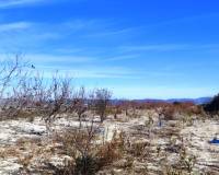 Resale - Plots and Land - Bufali