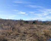 Resale - Plots and Land - Bufali