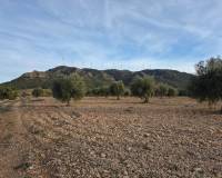 Resale - Plots and Land - Jumilla