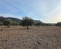 Resale - Plots and Land - Jumilla