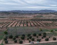Resale - Plots and Land - Jumilla
