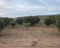 Resale - Plots and Land - Jumilla
