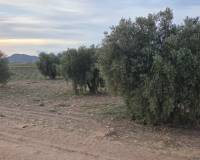 Resale - Plots and Land - Jumilla