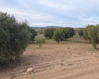 Resale - Plots and Land - Jumilla