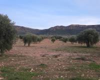 Resale - Plots and Land - Jumilla