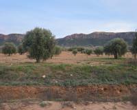 Resale - Plots and Land - Jumilla