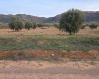 Resale - Plots and Land - Jumilla