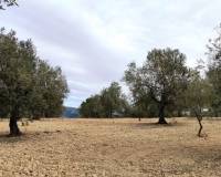 Resale - Plots and Land - Penaguila - Penáguila