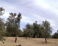 Resale - Plots and Land - Penaguila - Penáguila