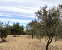 Resale - Plots and Land - Penaguila - Penáguila