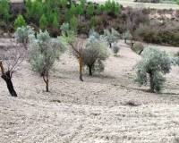 Resale - Plots and Land - Penaguila - Penáguila