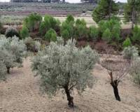 Resale - Plots and Land - Penaguila - Penáguila