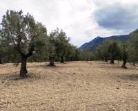 Resale - Plots and Land - Penaguila - Penáguila