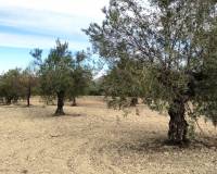 Resale - Plots and Land - Penaguila - Penáguila