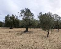 Resale - Plots and Land - Penaguila - Penáguila