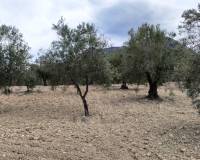 Resale - Plots and Land - Penaguila - Penáguila