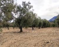 Resale - Plots and Land - Penaguila - Penáguila