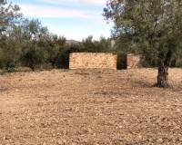 Resale - Plots and Land - Penaguila - Penáguila