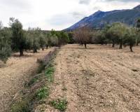 Resale - Plots and Land - Penaguila - Penáguila