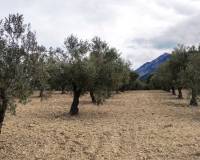 Resale - Plots and Land - Penaguila - Penáguila