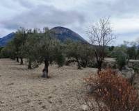 Resale - Plots and Land - Penaguila - Penáguila