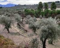 Resale - Plots and Land - Penaguila - Penáguila