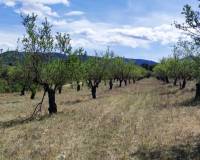 Resale - Plots and Land - Penaguila - Penáguila