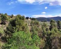 Resale - Plots and Land - Penaguila - Penáguila