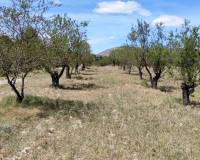 Resale - Plots and Land - Penaguila - Penáguila