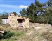 Resale - Plots and Land - Penaguila - Penáguila