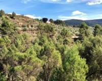 Resale - Plots and Land - Penaguila - Penáguila