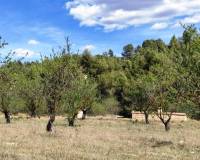 Resale - Plots and Land - Penaguila - Penáguila