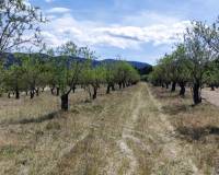 Resale - Plots and Land - Penaguila - Penáguila