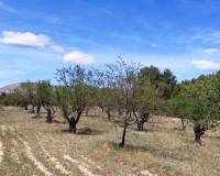 Resale - Plots and Land - Penaguila - Penáguila