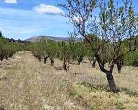 Resale - Plots and Land - Penaguila - Penáguila