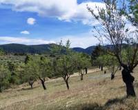 Resale - Plots and Land - Penaguila - Penáguila