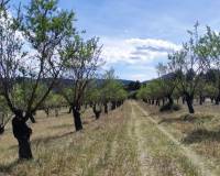 Resale - Plots and Land - Penaguila - Penáguila