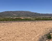 Resale - Plots and Land - Pinoso - Lel