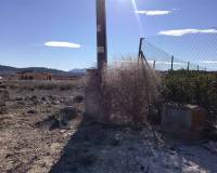 Resale - Plots and Land - Pinoso - PinosoAlicanteValenciaSpain