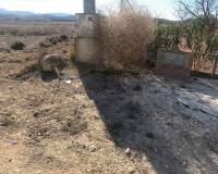 Resale - Plots and Land - Pinoso - PinosoAlicanteValenciaSpain