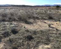 Resale - Plots and Land - Pinoso - PinosoAlicanteValenciaSpain