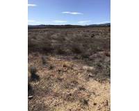 Resale - Plots and Land - Pinoso - PinosoAlicanteValenciaSpain