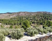 Resale - Plots and Land - Planes