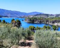 Resale - Plots and Land - Planes