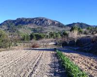 Resale - Plots and Land - Planes