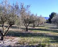 Resale - Plots and Land - Planes