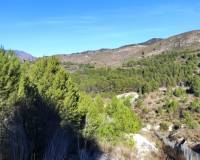 Resale - Plots and Land - Planes